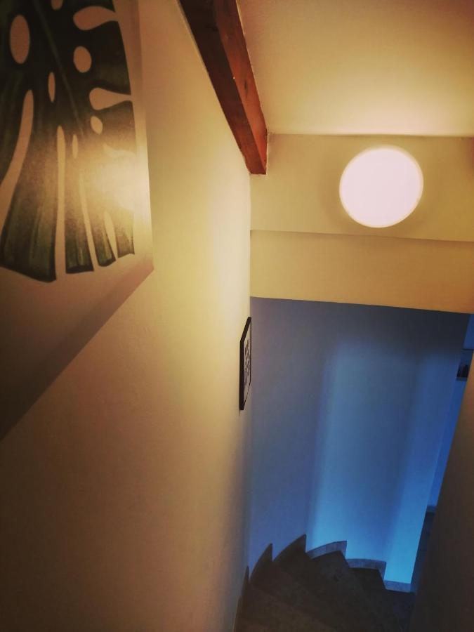Apartment Arta Vodice Bagian luar foto